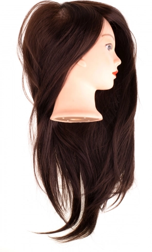 Realistic, long brown hair