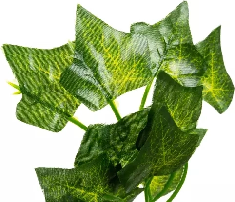 Трайна декорация