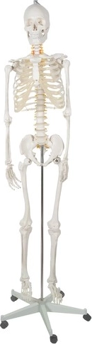 Мобилен и гъвкав