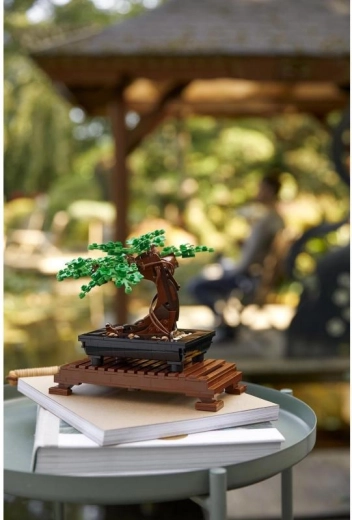 Креативно строене за възрастни