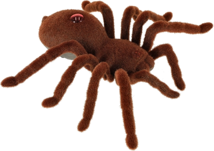 Реалистичен козинест вид