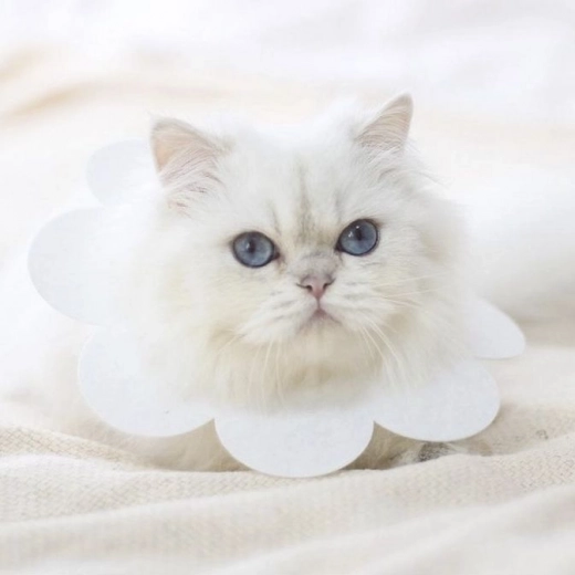 Комфортно носене