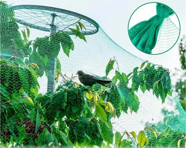 Ненатрапчив и естествено съчетаващ се зелен цвят