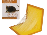 Glue trap for mice and rats 24 × 17 cm