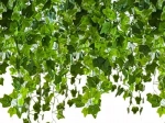 Gardlov Artificial Ivy – Garland 25.2 m