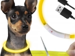 Light-up LED collar for a dog and cat Purlov - 1 piece