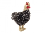 Plush Hen with Egg 35 cm