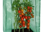 Garden Polytunnel 100 × 50 × 150 cm